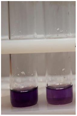 Evaluating new simplified assays for harm reduction from methanol poisoning using chromotropic acid kits: An analytical study on Indian and Iranian alcoholic beverages
